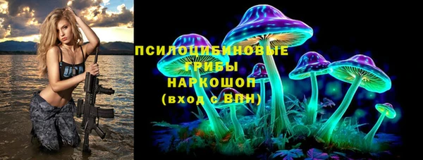 меф Арсеньев