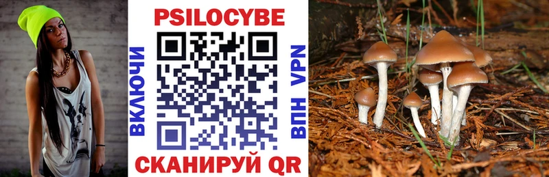 Псилоцибиновые грибы мицелий  Поворино 